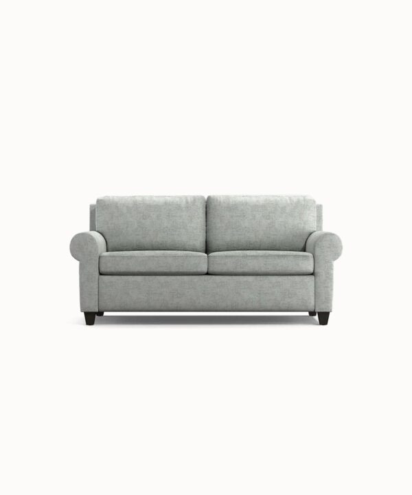 Versatile Sleeper Sofa Display Shelf